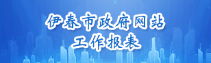 伊春市政府網(wǎng)站工作報(bào)表